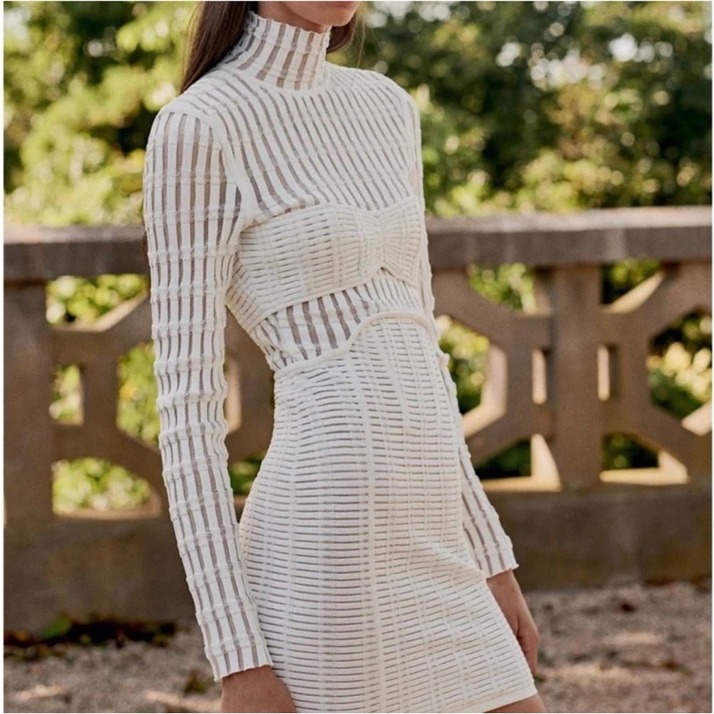 Herve Leger white Shadow
Stripe Dress - Picture 1 of 9